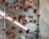 Fűszeres csirkemell csíkok lilahagymás burgonya ágyon recept fázis 3 fotója