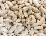 Foto del paso 1 de la receta: Fabes con Almejas
