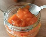 Une image de l'étape 3 de Confiture d'abricots sans Sucre au Cook Expert.