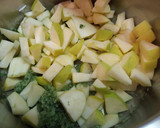 Foto del paso 5 de la receta: Vichyssoise de manzanas fría