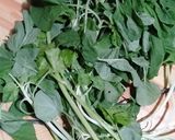 Foto langkah ke 1 dari resep Tegean/ sayur bening kebumen.