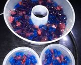 Foto langkah ke 2 dari resep Puding Mozaik.