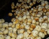 A picture of step 3 of Peri peri makhana.