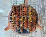 Foto del paso 7 de la receta: Nueva receta de pinchos de cordero morenos