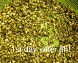 Hình bước làm 5 của món Cách làm giá đỗ bằng vỏ hộp sữa