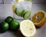 Thirsty Thursday Lemon Cocktail recipe step 6 photo