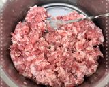 A picture of step 5 of Pork and Napa Cabbage Dumplings.