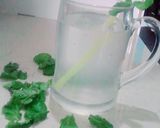 A picture of step 3 of Shikanjbeen.