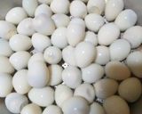 Foto langkah ke 1 dari resep Sate telur puyuh angkringan.