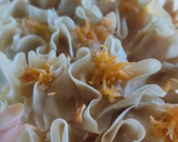 Foto langkah ke 5 dari resep Dimsum ayam udang wortel.