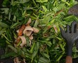 Foto langkah ke 6 dari resep Tumis Kangkung Cumi Saus Tiram.