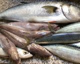 Une image de l'étape 3 de Merlan 🦈entre 🌿terre 🥕🧄et mer🥣.