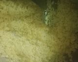 A picture of step 2 of Gola bhaat.