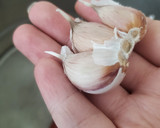 Foto del paso 2 de la receta: Cóctel de Camarón