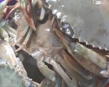 Foto langkah ke 1 dari resep Rica-Rica Kepiting.