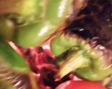 A picture of step 2 of Green Bell Pepper and Kalamata Olive Sauce.