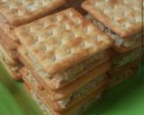 Foto langkah ke 5 dari resep Crackers Ragaout.