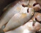 Hình bước làm 1 của món Cá mó chiên giòn