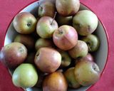 Foto del paso 1 de la receta: Panquequitos de manzana y mantequilla de maní BLW