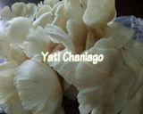 Foto langkah ke 1 dari resep Tumis Jamur Tiram Cabe Hijau.