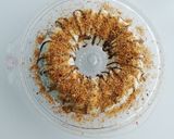 Une image de l'étape 4 de Glace fraises speculoos et kadayıf.