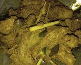 Foto langkah ke 4 dari resep Bebek ukep poyah lengkuas/laos.