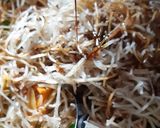 Foto langkah ke 3 dari resep Mie Sagu Goreng.