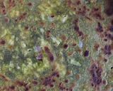 A picture of step 4 of Palak paneer parata.
