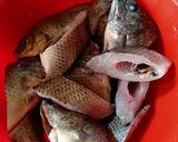 Foto langkah ke 1 dari resep Muhajir Masam Jing.