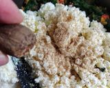 Foto del paso 4 de la receta: Canelones de verduras apto diabéticos