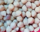 Foto del paso 2 de la receta: Hummus de garbanzo casero