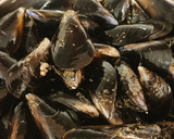 Foto del paso 1 de la receta: Spaghetti con le cozze e pomodorini