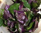麻油紅鳳菜的食譜步驟1照片