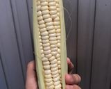 Foto langkah ke 1 dari resep Jagung Putih Rebus.