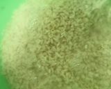 A picture of step 1 of Dahi vada.