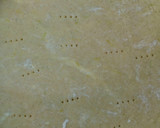 Foto del paso 2 de la receta: Lemon pie