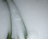 Foto langkah ke 2 dari resep Bubur sumsum legit.