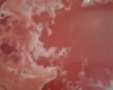 A picture of step 3 of Falsa ice lollies.