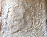 Foto del paso 8 de la receta Tarta de coco (sólo apta para amantes del coco)
