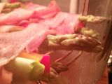 Atados de pimentón y espárragos en tiras de tocineta