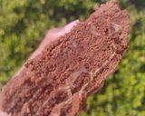Foto del paso 3 de la receta: Chocotorta tradicional
