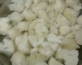 A picture of step 1 of Gobi 65.