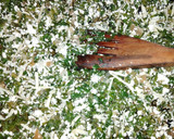 Foto del paso 3 de la receta: Pizza vegetariana