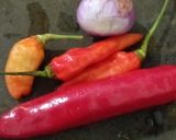 Foto langkah ke 2 dari resep #769 Sambal Docang Khas Jepara.