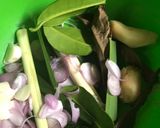 Foto langkah ke 1 dari resep Nasi gurih magic com simpel.