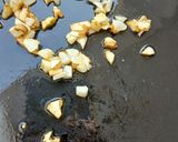 A picture of step 16 of My best ever Margheritta Pizza!.