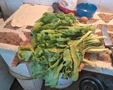 Foto del paso 12 de la receta: Pascualina de acelga 🥬🥬
