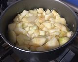 Foto del paso 2 de la receta: Puré de manzana 🍏