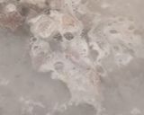 عکس مرحله 1 از دستور حلیم بادمجون رژیمی به سبک من🍲