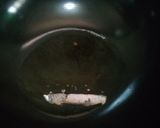 Foto langkah ke 3 dari resep Semur 2T (TahuTelur).